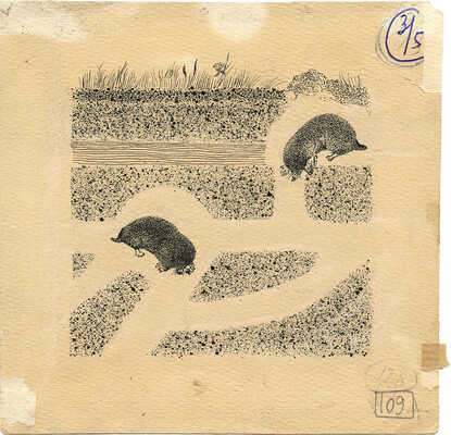 Курдов Валентин Иванович. Кроты. Книжная иллюстрация